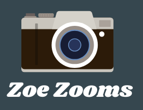 zoezooms.com